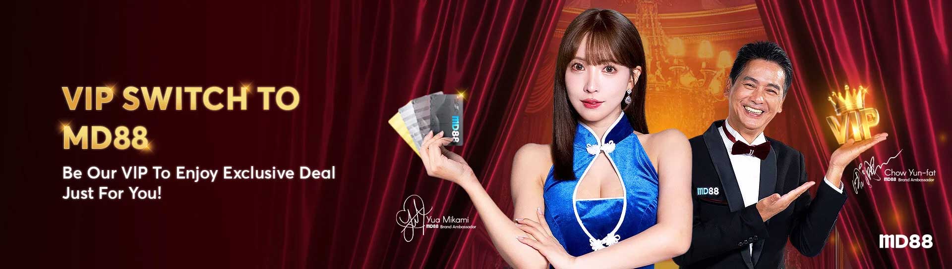 MD88-VIP-Switch-banner-desktop